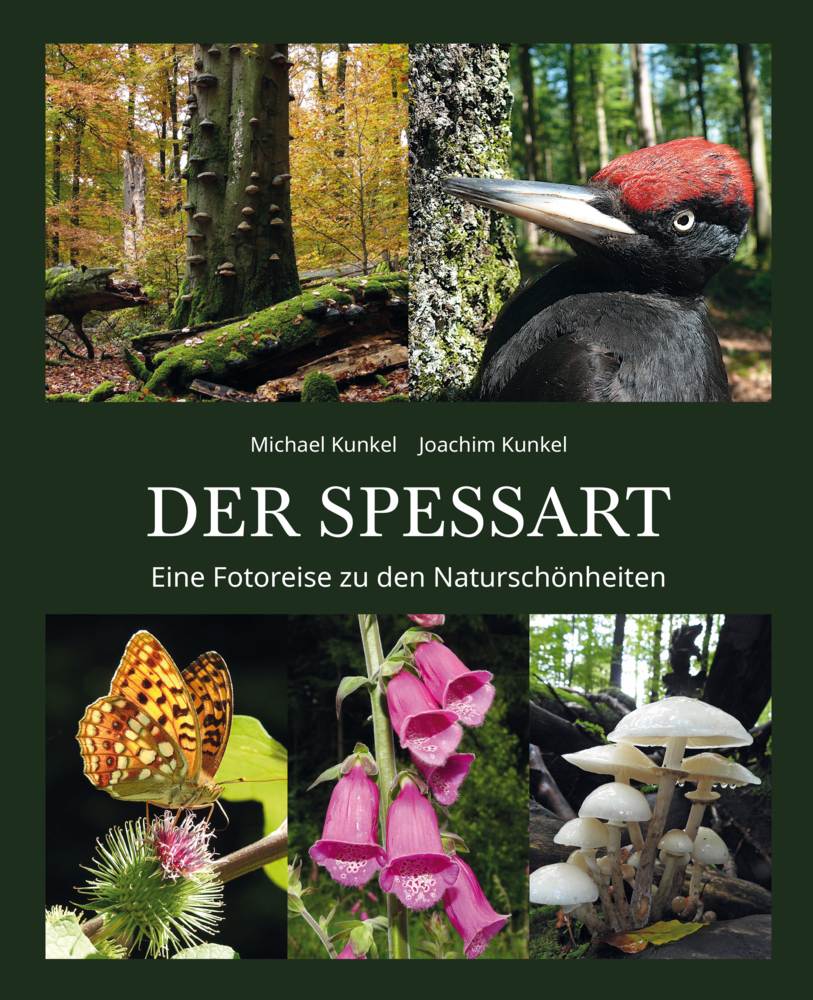 DER SPESSART main product photo