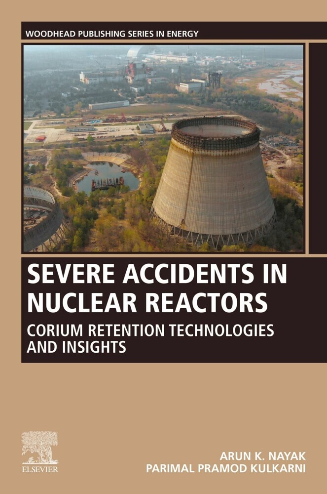 Severe Accidents in Nuclear Reactors main product photo