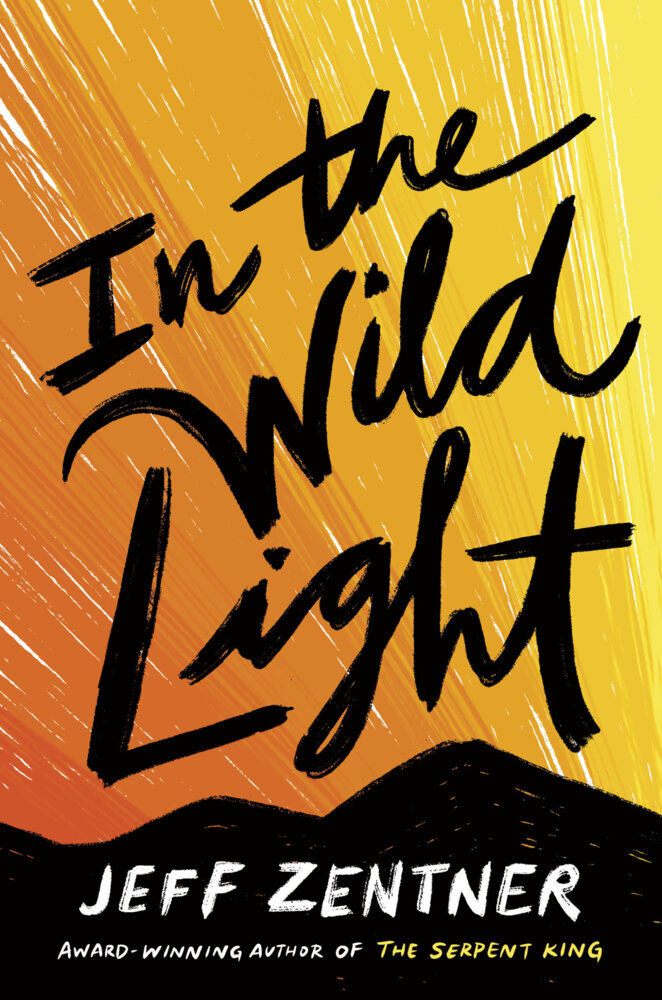 In the Wild Light main product photo