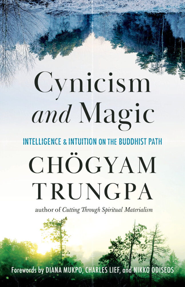 Cynicism and Magic main product photo