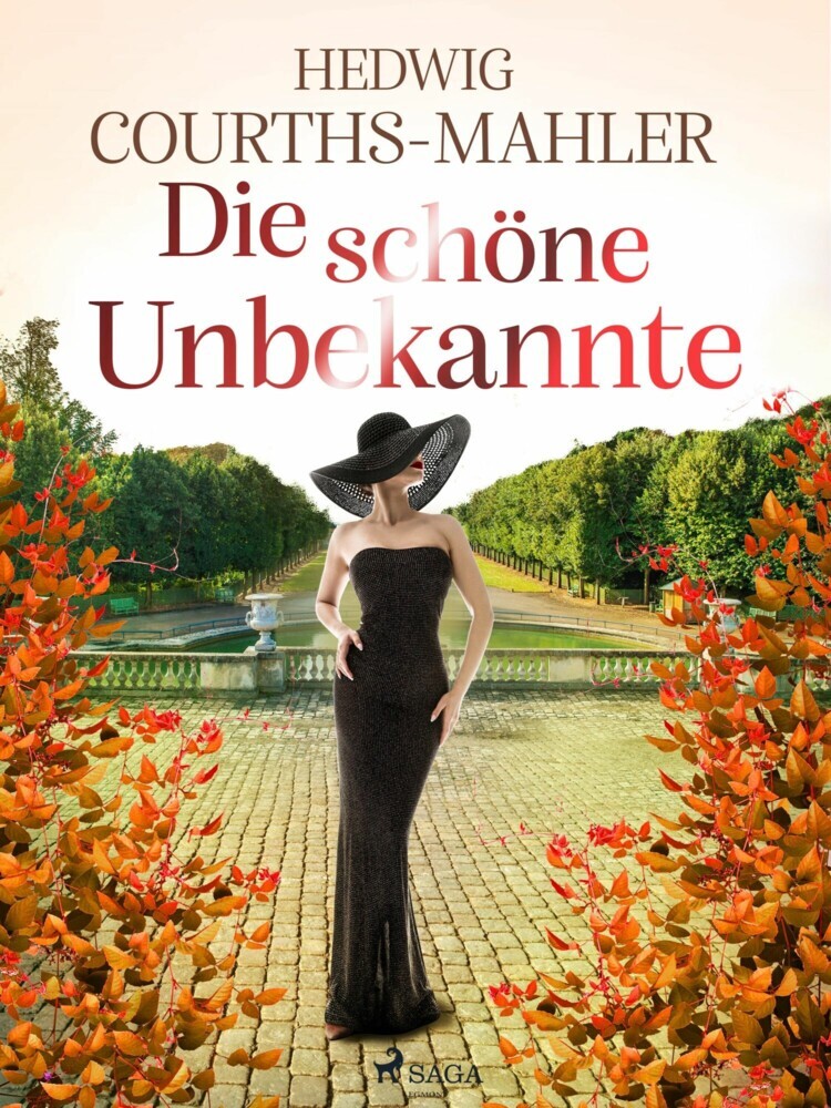 Die schöne Unbekannte main product photo