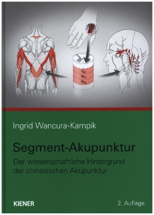 Segment-Akupunktur