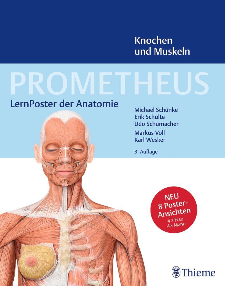 PROMETHEUS LernPoster der Anatomie, Knochen und Muskeln main product photo