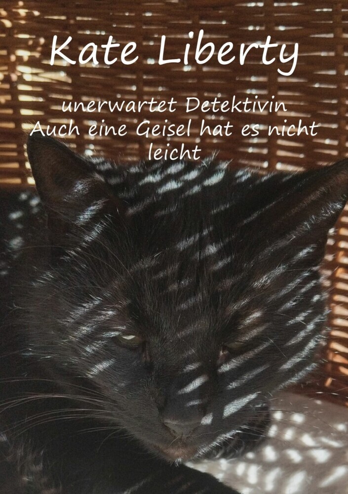Kate Liberty - Unerwartet Detektivin / Auch eine Geisel hat es nicht leicht main product photo