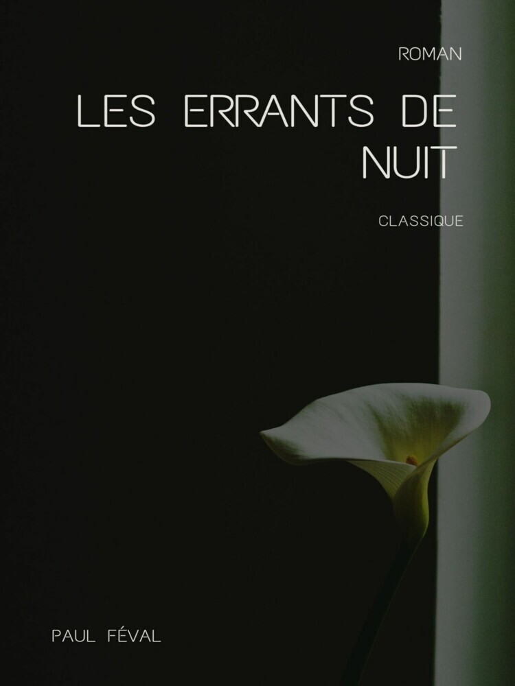 Les Errants de nuit main product photo