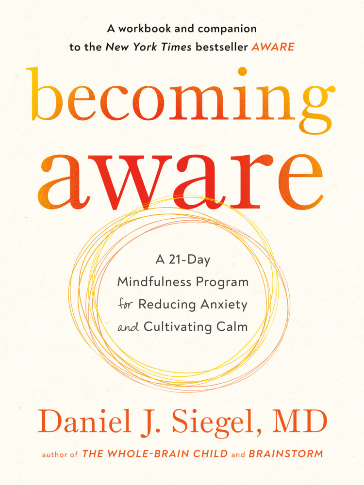 Becoming Aware main product photo