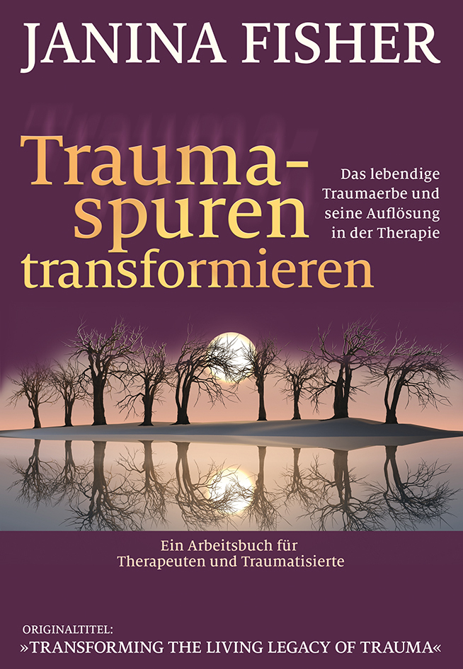 Traumaspuren transformieren main product photo