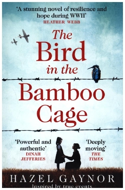 The Bird in the Bamboo Cage main product photo