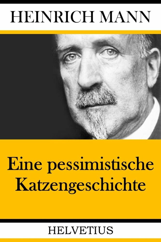 Eine pessimistische Katzengeschichte main product photo
