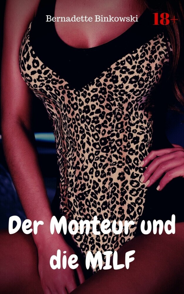 Der Monteur und die MILF main product photo