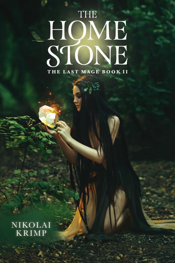 The Last Mage main product photo