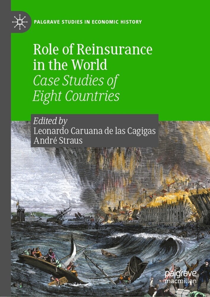 Role of Reinsurance in the World main product photo