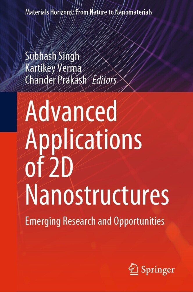 Advanced Applications of 2D Nanostructures main product photo