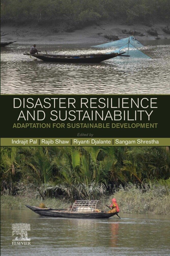 Disaster Resilience and Sustainability main product photo