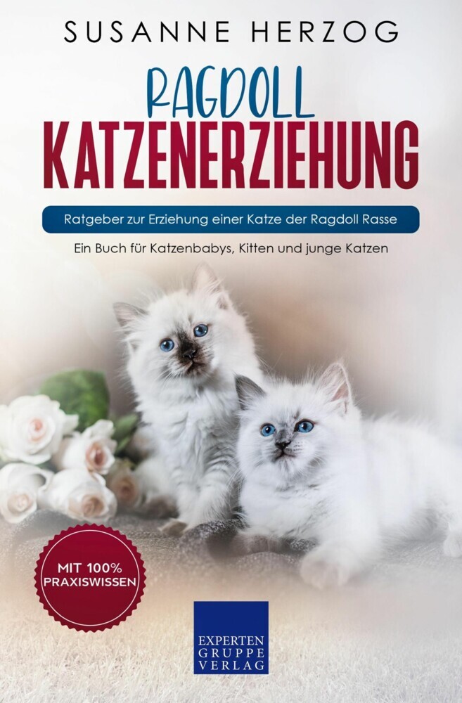 Ragdoll Katzenerziehung - Ratgeber zur Erziehung einer Katze der Ragdoll Rasse main product photo