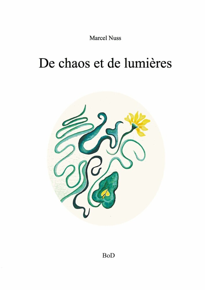 De chaos et de lumière main product photo