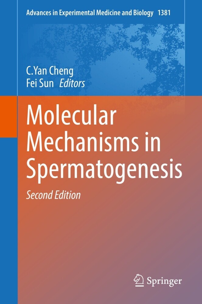 Molecular Mechanisms in Spermatogenesis main product photo