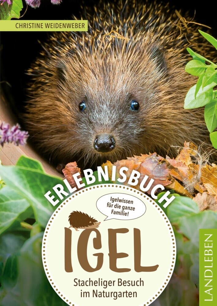 Erlebnisbuch Igel main product photo