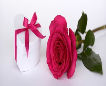 Love Maker