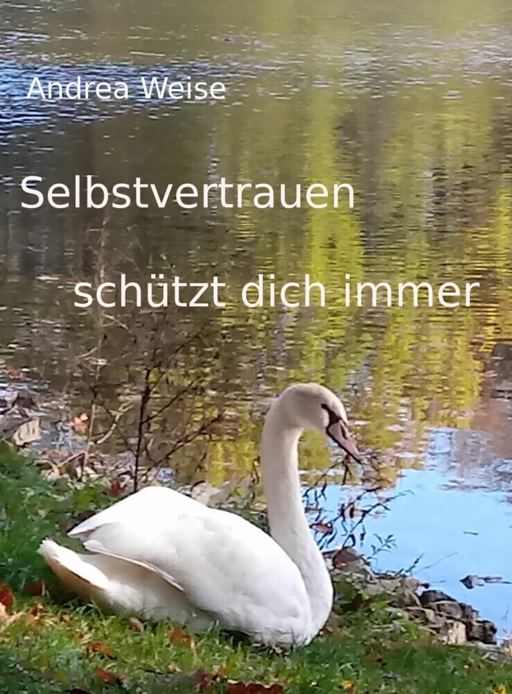 Selbstvertrauen schützt dich immer main product photo