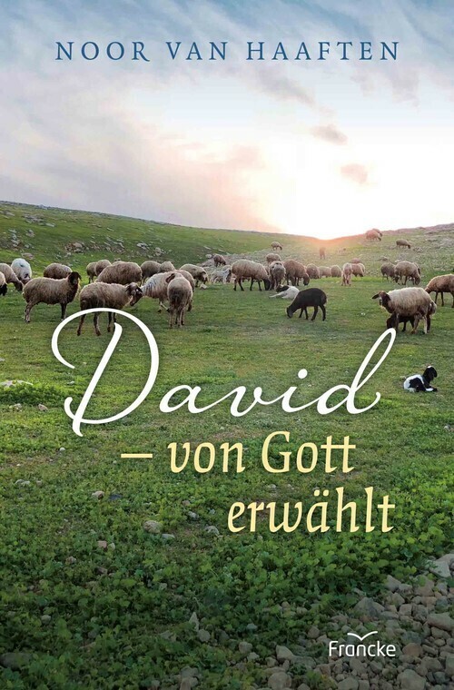 David - von Gott erwählt main product photo