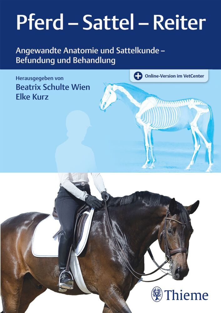 Pferd - Sattel - Reiter main product photo