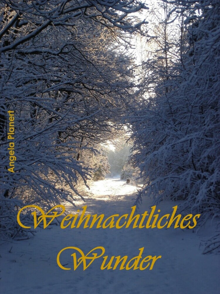 Weihnachtliches Wunder main product photo