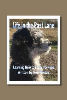 Life In The Past Lane