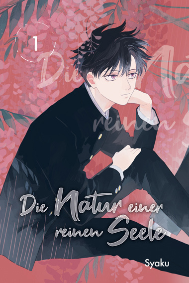 Die Natur einer reinen Seele 01 main product photo