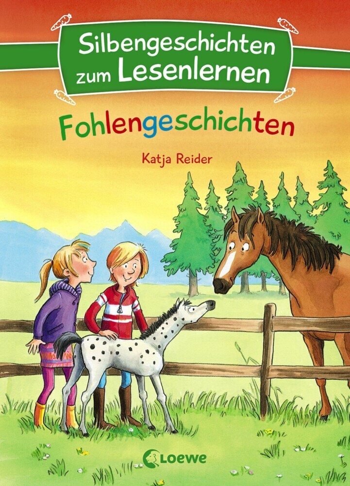 Silbengeschichten zum Lesenlernen - Fohlengeschichten main product photo
