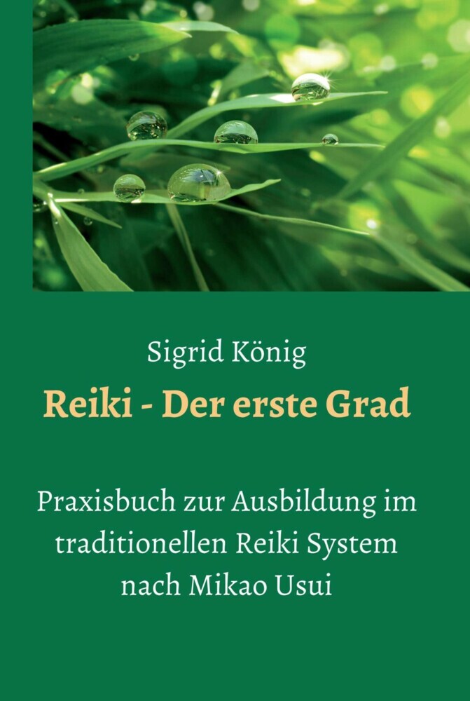 Reiki - Der erste Grad main product photo