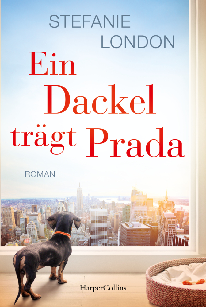 Ein Dackel trägt Prada main product photo