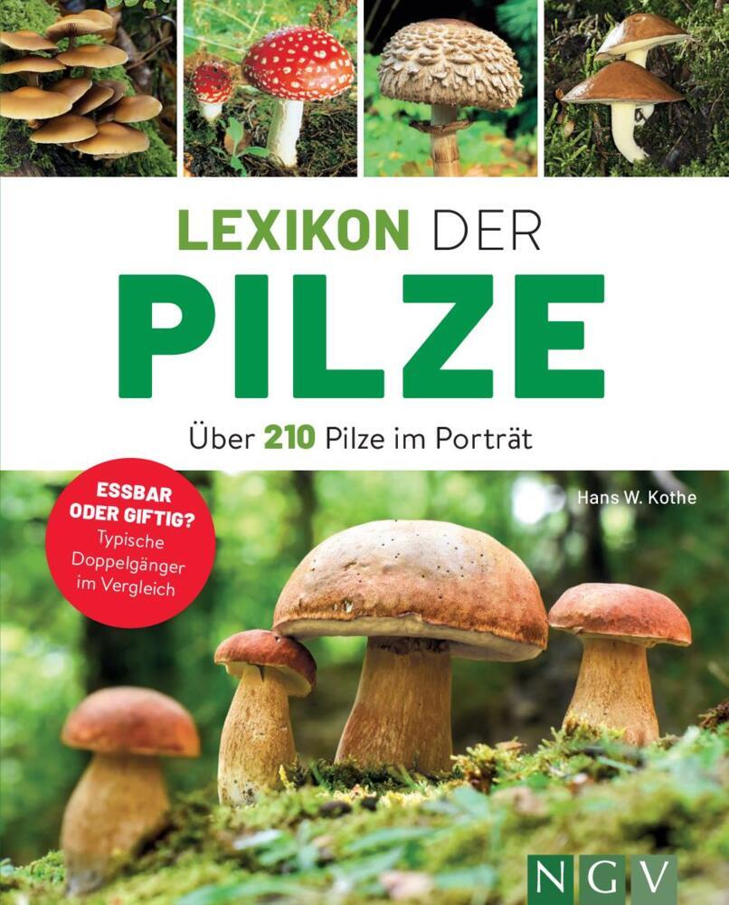 Lexikon der Pilze - Über 210 Pilze im Porträt main product photo