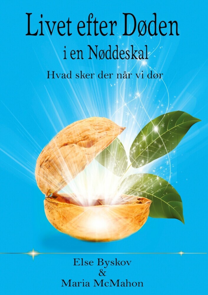 Livet efter døden i en Nøddeskal main product photo