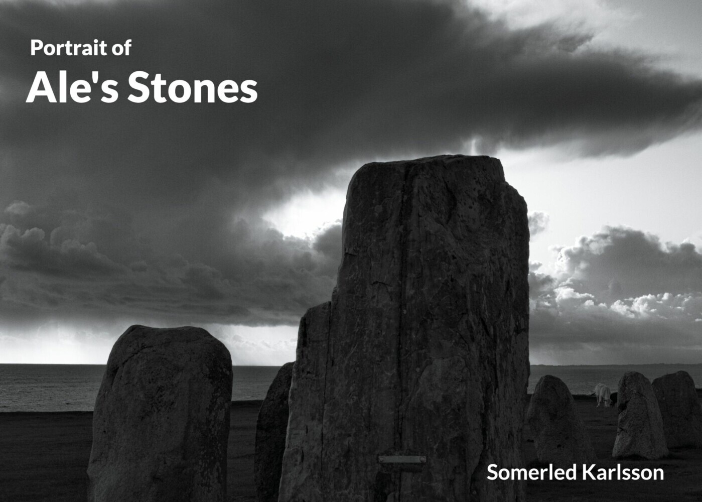 Ale's Stones main product photo