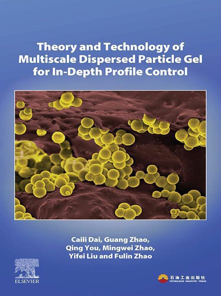 Theory and Technology of Multiscale Dispersed Particle Gel for In-Depth Profile Control main product photo
