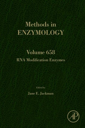 RNA Modification Enzymes