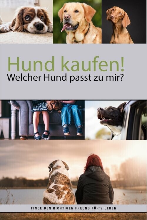 Hund kaufen aber welcher Hund passt zu mir? main product photo