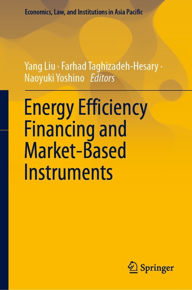 Energy Efficiency Financing and Market-Based Instruments main product photo