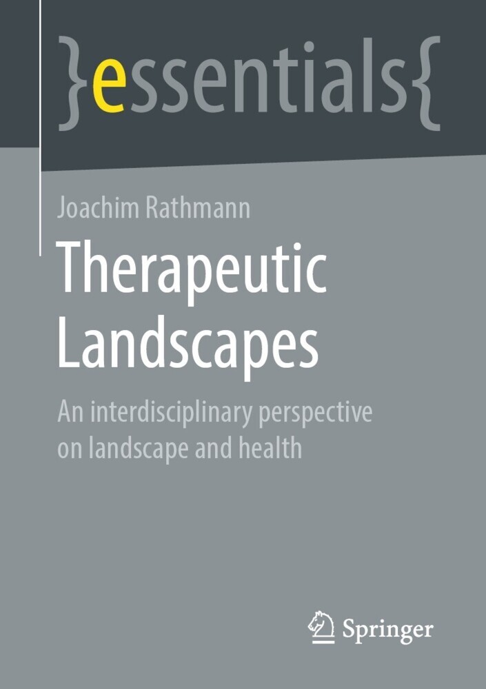 Therapeutic Landscapes main product photo
