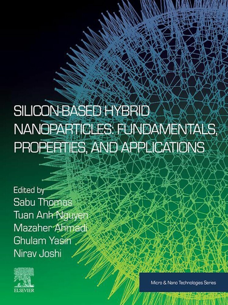 Silicon-Based Hybrid Nanoparticles main product photo