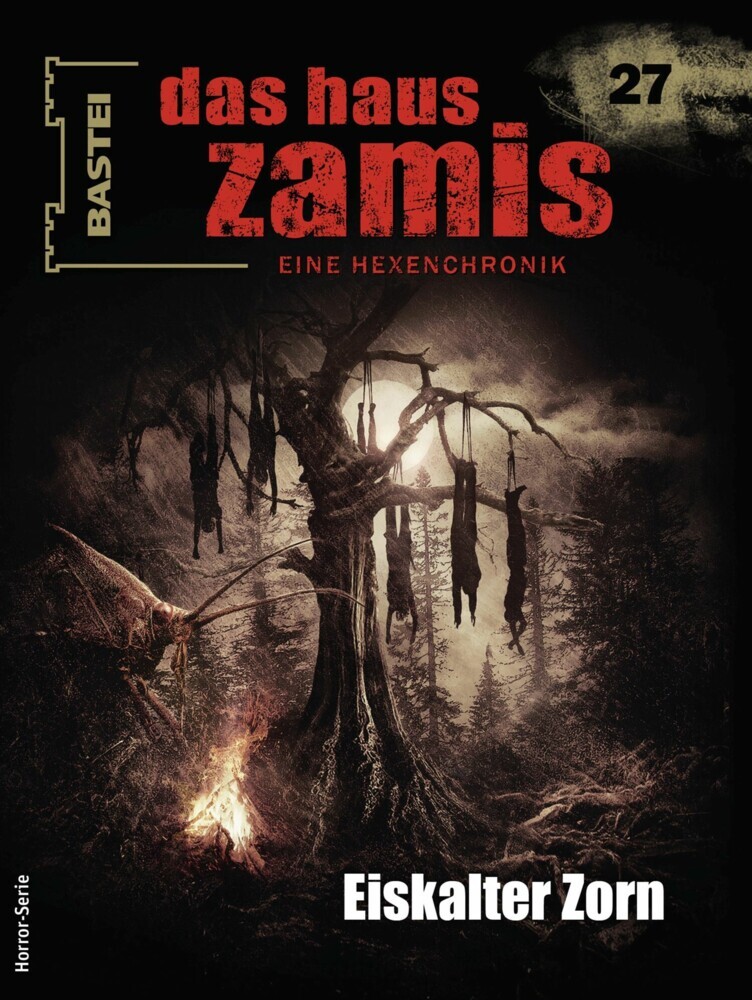 Das Haus Zamis 27 main product photo
