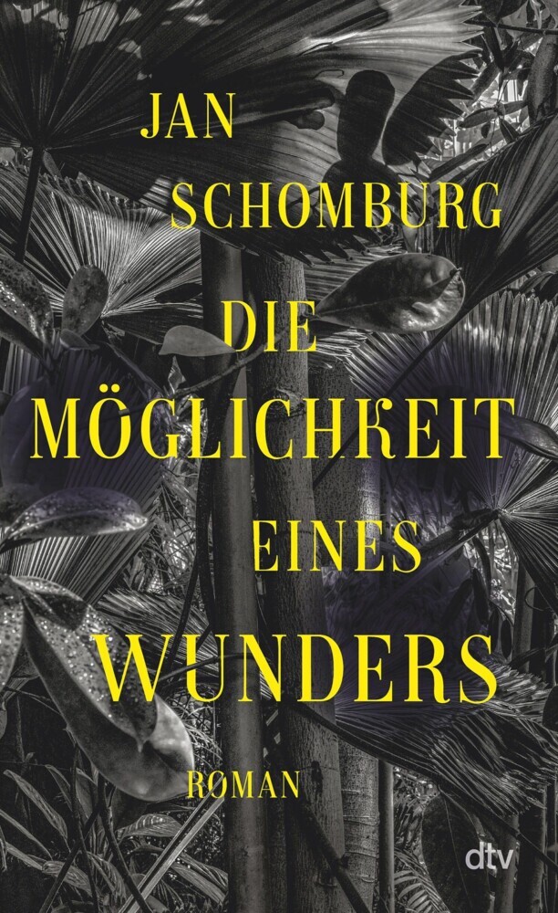 Die Möglichkeit eines Wunders main product photo