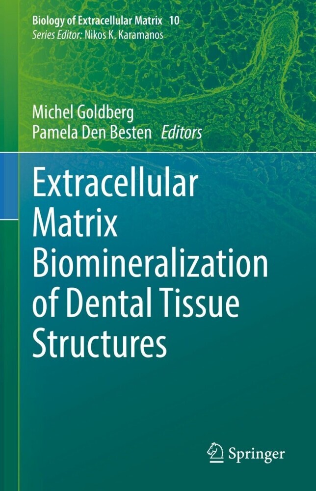 Extracellular Matrix Biomineralization of Dental Tissue Structures main product photo