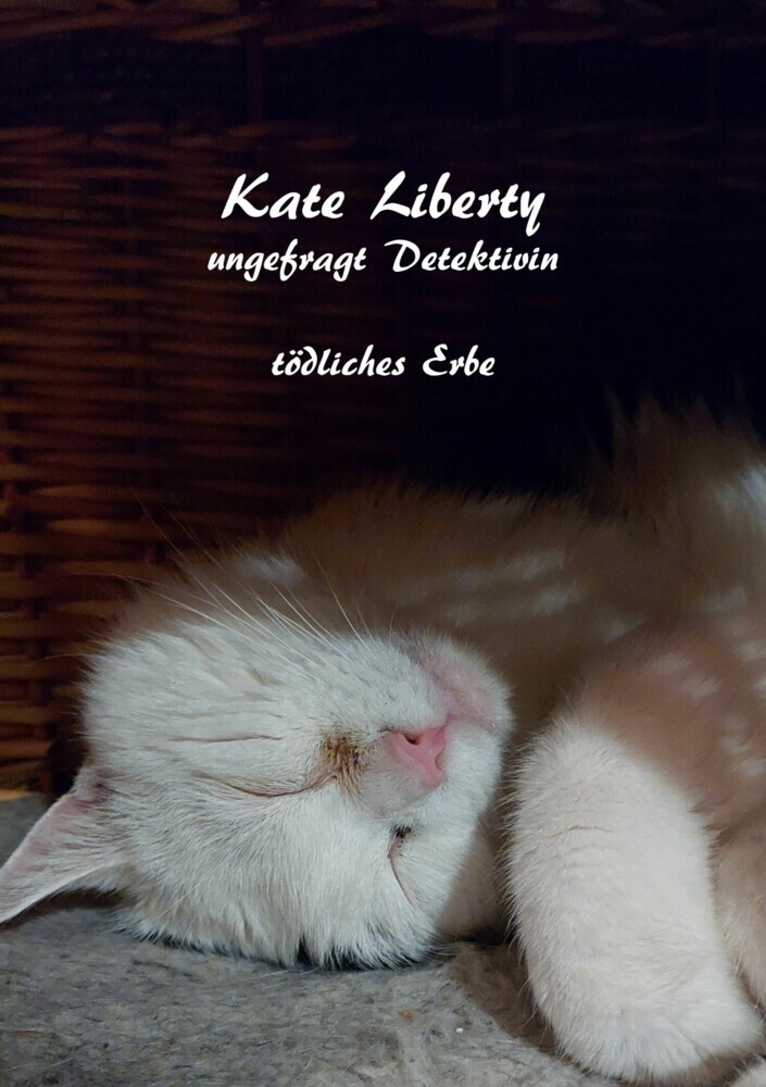 Kate Liberty- Ungefragt Detektivin- "Tödliches Erbe" main product photo