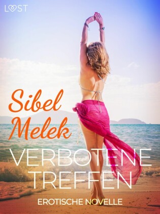 Verbotene Treffen - Erotische Novelle