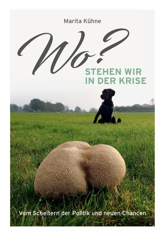 Wo? stehen wir in der Krise main product photo
