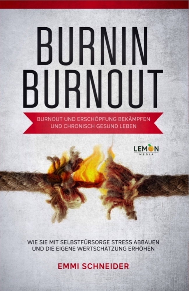 BurnIn BurnOut main product photo
