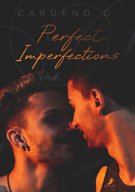 Perfect Imperfections main product photo