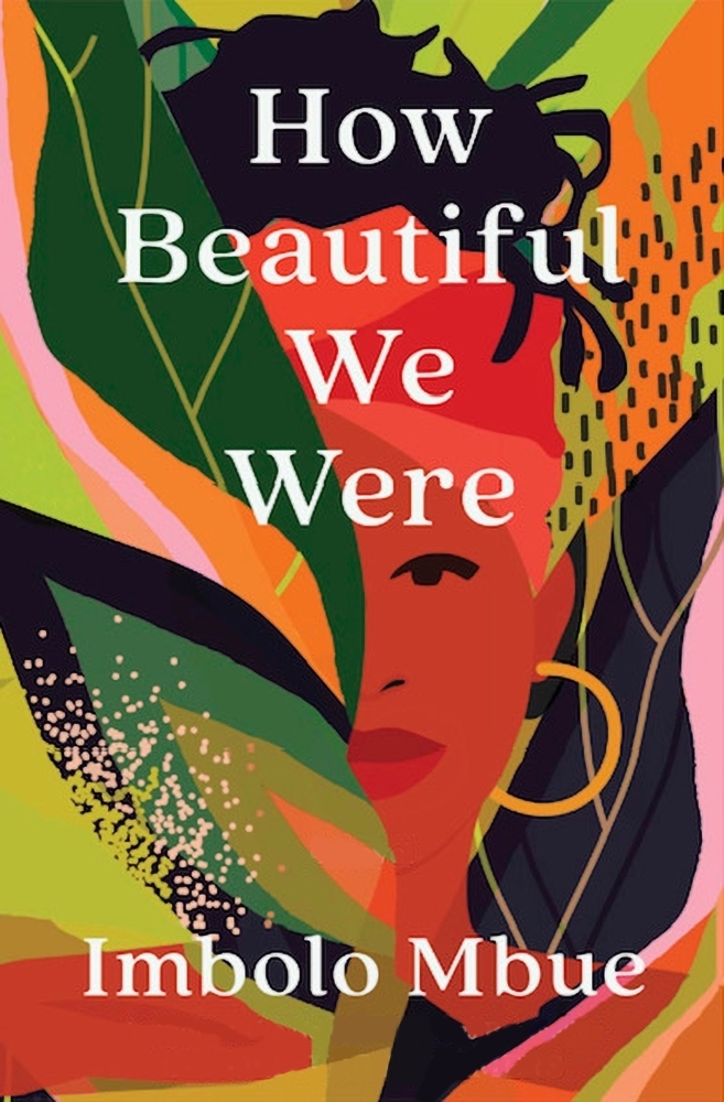 How Beautiful We Were main product photo